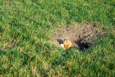 Similar image 12693668