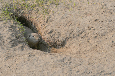 Similar image 12693669