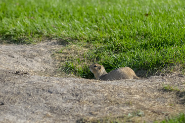 Similar image 12693670