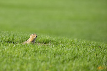 Similar image 12693672