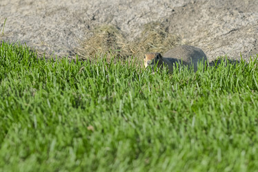 Similar image 12693673