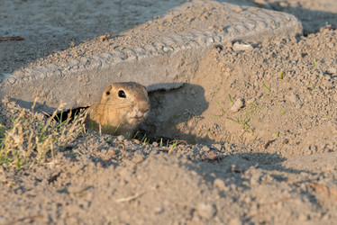 Similar image 12693674