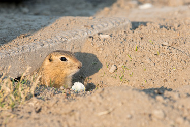 Similar image 12693675