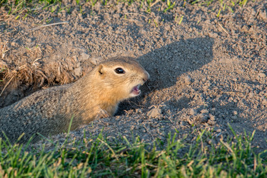 Similar image 12693677