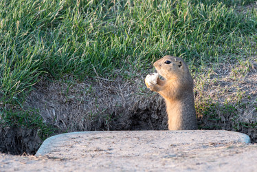 Similar image 12693678