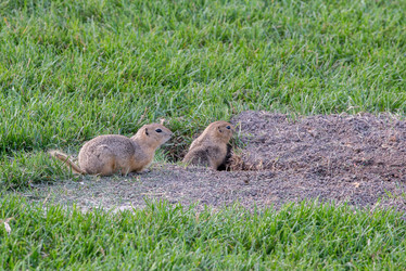 Similar image 12693680