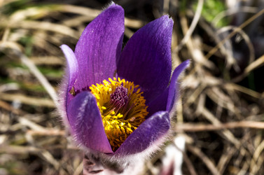 Similar image 12987222