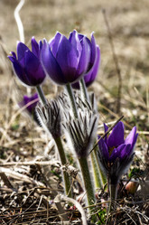 Similar image 12987224