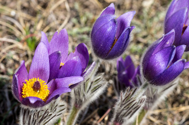 Similar image 12987225