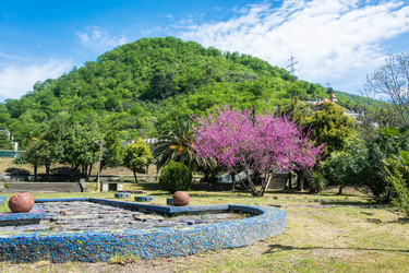 Similar image 12988749