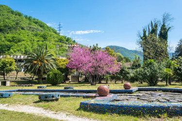 Similar image 12988751