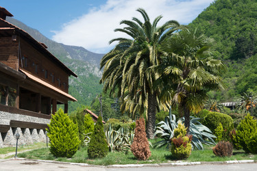 Similar image 12988753