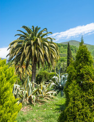 Similar image 12988754