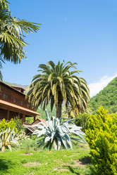 Similar image 12988755