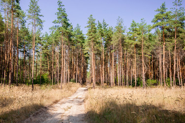 Similar image 12976517