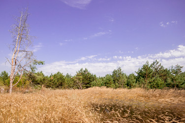 Similar image 12976519