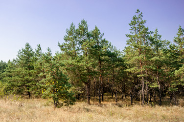 Similar image 12976520