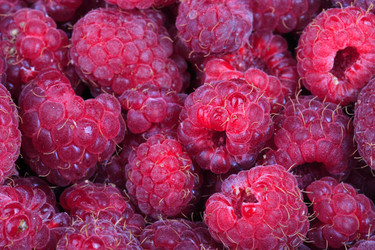 Similar image 12978874