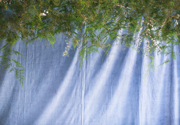 Similar image 12989668