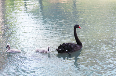 Similar image 12989670