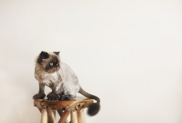 Similar image 12989713