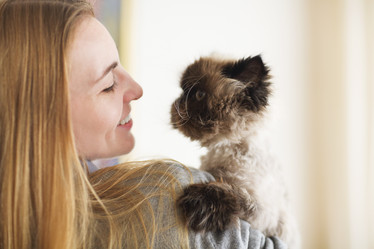 Similar image 12989738