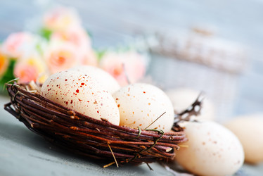 Similar image 12991107