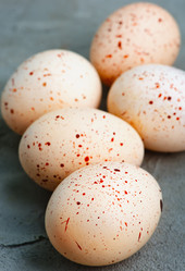 Similar image 12991166