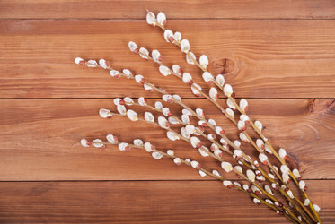 Similar image 12994474