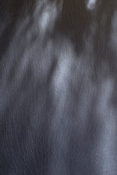 Similar image 12692771