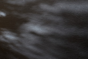 Similar image 12692667