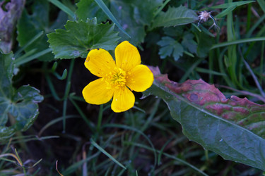 Similar image 12993346