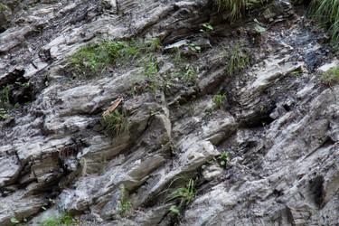 Similar image 12981330