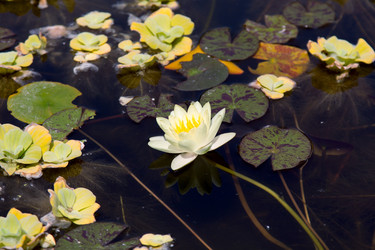 Similar image 12981353