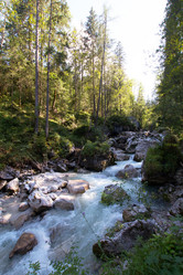 Similar image 12981354