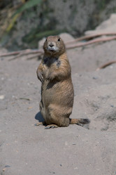 Similar image 12981355