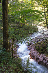 Similar image 12981356