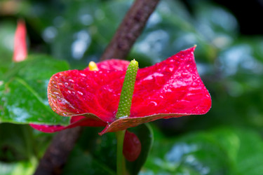 Similar image 12981357