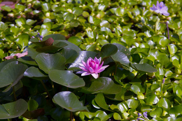 Similar image 12981358