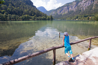 Similar image 12981361