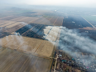 Similar image 12989740