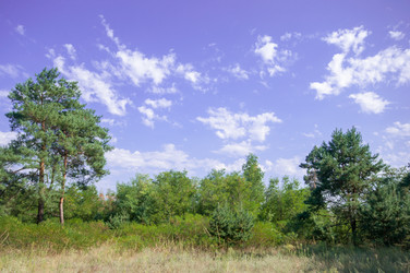 Similar image 12976498