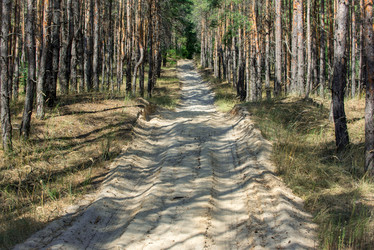 Similar image 12976499