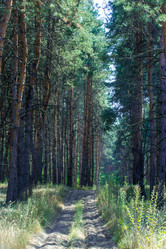 Similar image 12976521