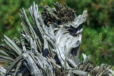 Similar image 12976522