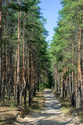 Similar image 12976523