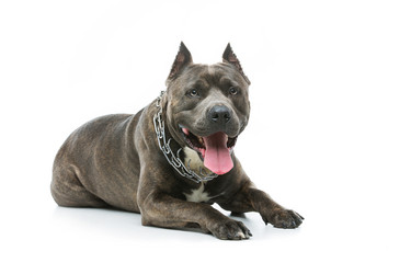 Similar image 13000355