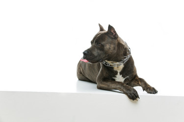 Similar image 13000361