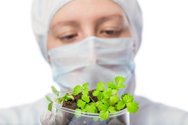 Similar image 12988670