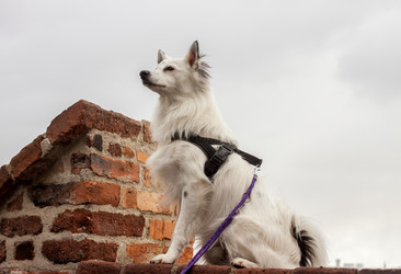 Similar image 12698535